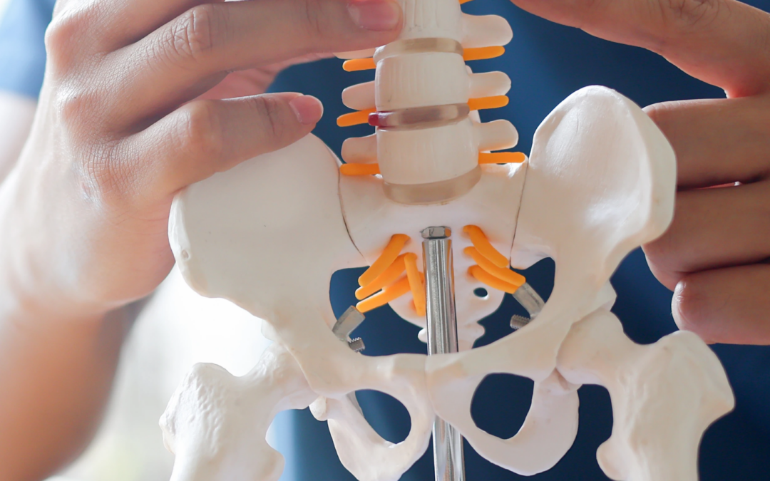 Chiropractic care | Freedom Chiropractic Pompano Beach FL